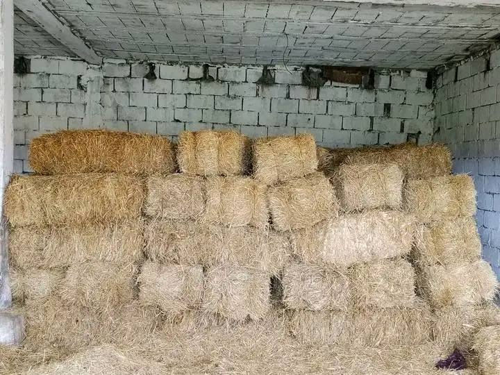 ✅مرحبا بك ☎️05.61.16.50.42☎️
 بلوطة 40الف لقمح 40الف شعير بلوطة خرطال50الف بوطة
✅مقر طارف بلدية عين خيار
✅رقم هاتف 05.61.16.50.42
✅توصيل 69الايات


**إذا كنت صاحب هذا الإعلان وتريد حذفه لأي سبب، رجاءا أرسل رسالة إلى الدعم الفني**