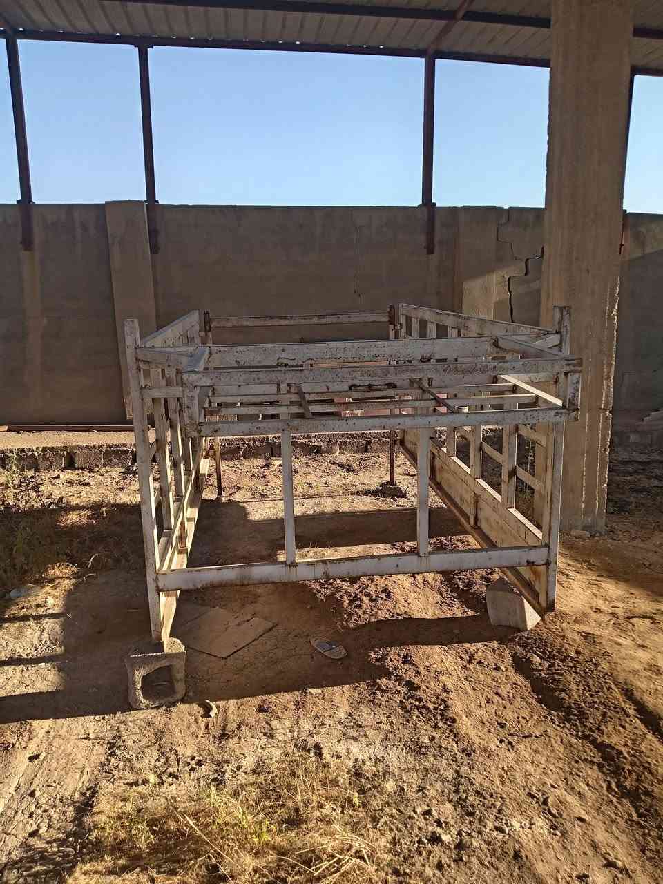 السلام وعليكم محجر كيه حمل مال 8 جنكال البيع سعر ٣٥٠ وبيه مجال رقم الهاتف 
***********
