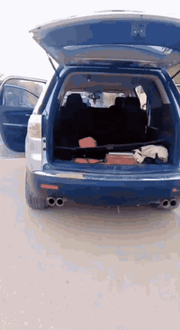 اكاديه جمسي • ٢٠١٠ • باسمي