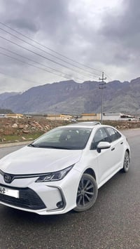 كورولا • ٢٠٢٣ • بدون بوية