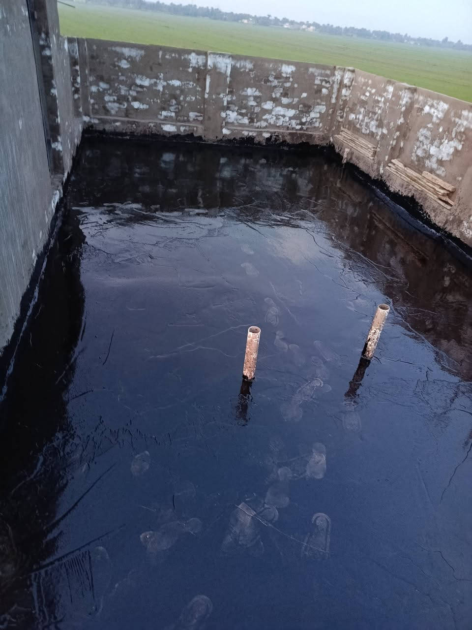 سكلت بركات ام البنين. (ع)
العمل الكير وتصطيح المباني  الحكوميه ولهليه
شتايكر+ يزوكام+ افلانگوت+ لباد +فلين  +نايلون 
   كرسته وعمل عملنا شرط النجاح
(بأدارة سيد علي) 
***********
***********
