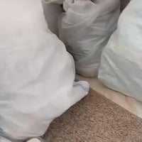 شحاطة نسائية • مقاسات ٣٦-٤١ • توصيل مجاني