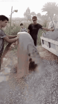 مستعدون لحفر الابار اليدوية والالية الخاصة بالمنازل والحدائق يوجد حفر ألي يصل الى 100م بأنسب الأسعار ***********
***********
