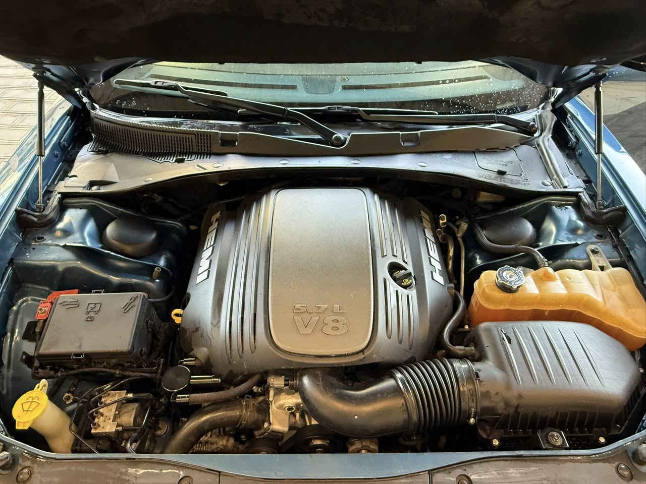 دوج جارجر موديل ٢٠٢١ لون ازرق بحري RT هيمي  سوبر تراك 5.700 السيارة بدون ايرباك وبدون قطرة صبغ ومغلفة PPF  وسنوية جديدة رقم اربيل جديد انكليزي بأسمي تحويل ثاني يوم 

السيارة ماشية ٦٥ الف 
شاشة كبيرة تشغيل عن بعد 
كشنات كهرباء تدفئة كشنات 
تدفئة ستيرن 
شفتات ستيرن 
سستم سماعات Alpine 
ويل ٢٠ بلادي 
دسكات برومبو اصليات شركة هارلم 
دكمة سبورت 
دكمة سوبرتراك 
فلنجات برومبو
تخم بلكات جديد رايسنك وادامة كاملة للسيارة
السعر 26.000$ 
***********
بغداد
