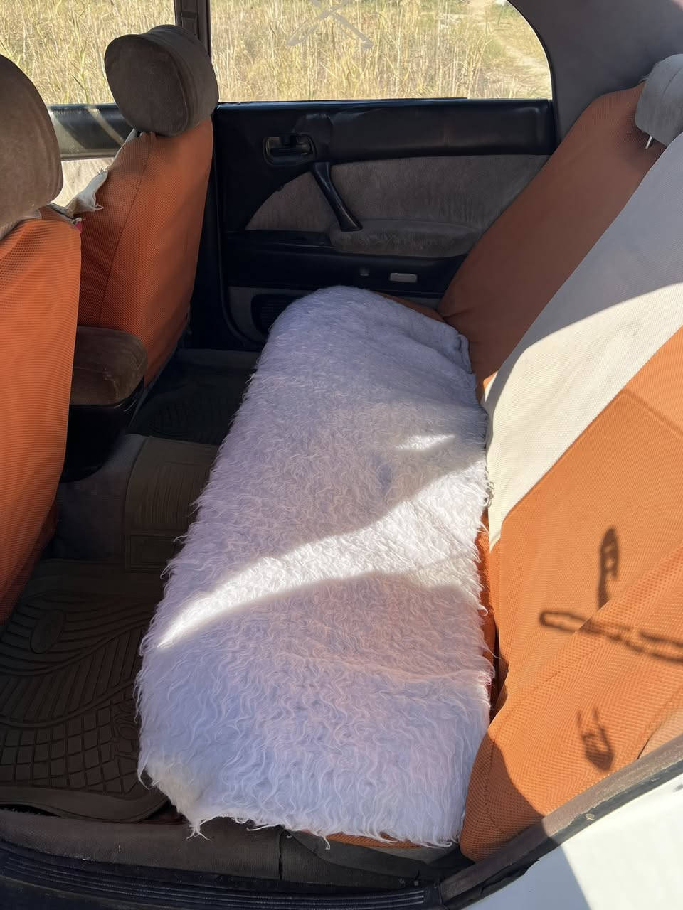 سلام عليكم بطه منفصل للبيع كفاله من الكص والعيب الشرعي حداديه جديده مكينه وكير ثنين ونص مكفولات  سنوية بأسمي مداور أو وكاله باليعجبك مكاني سوك الشيوخ ناحية العكيكة السعر 45 وبيها مجال للشراي ***********
