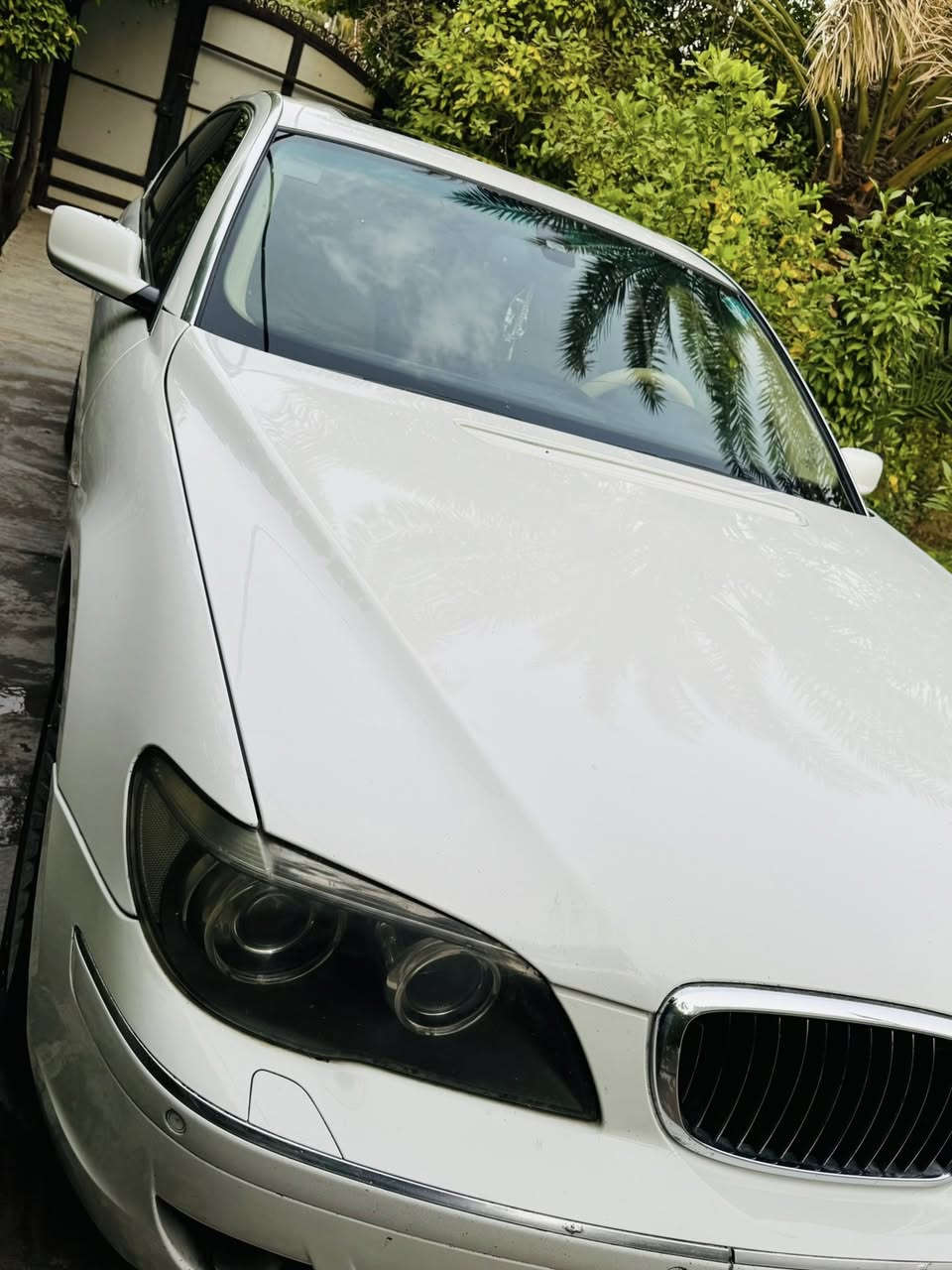 2008  خليجية 
رقم بغداد
مكفولةةةةة
حجم 740 Li

***********

