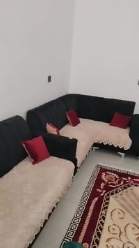 تخم ديوان • ١٠ قطع • جديد جدا