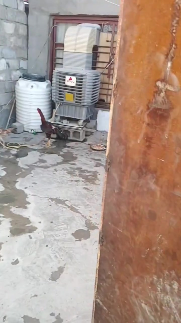 سلام عليكم بيت تجاوز بل 120 بل دوره وره العماره الحمره المقابيل باور هاوس بيت كامل مكمل بيه طرمه وصاله وحمام وغرفه ومطبخ وبيه حديقه وره البيت 100 متر للستفسار اكثر *********** السعر 12 وبيه مجال
