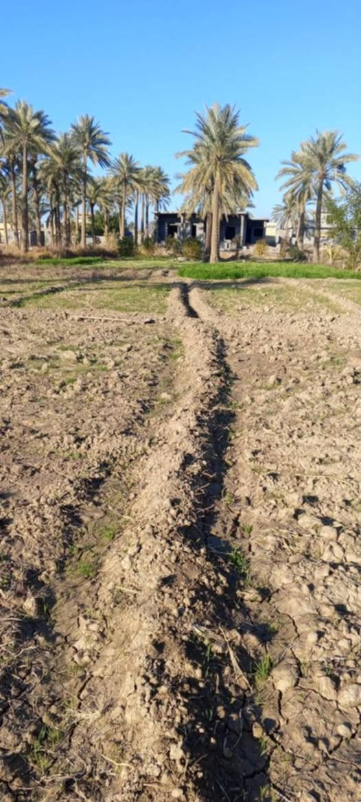 خمسه دونم طابوزراعي سند25تحويل مباشر المكان الفلوجه الشهابي الثالثه خلف مجمع الماسه سعرالدونم 30وبي مجال للشراي يتوفر ماء كهرباء مولدوطنيه ومدارس ومستوصف مجاورجامع المصطفى طابوزراعي سند25تحويل


**إذا كنت صاحب هذا الإعلان وتريد حذفه لأي سبب، رجاءا أرسل رسالة إلى الدعم الفني**