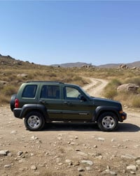 لبرتي • ٢٠٠٧ • ٦ سلندر