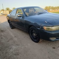 شيزر • نفخ • راعي