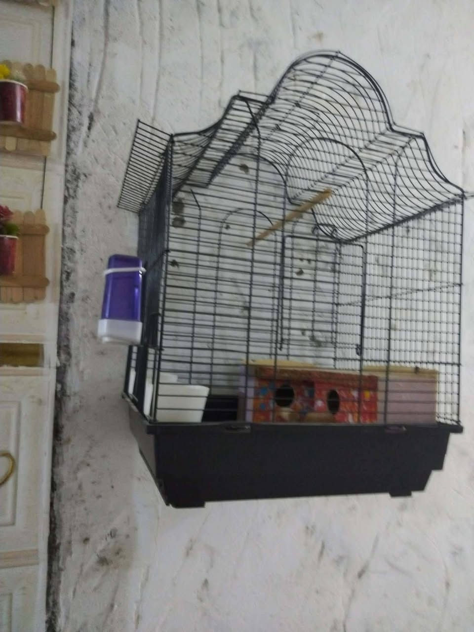 الاستفسار خاص


**إذا كنت صاحب هذا الإعلان وتريد حذفه لأي سبب، رجاءا أرسل رسالة إلى الدعم الفني**