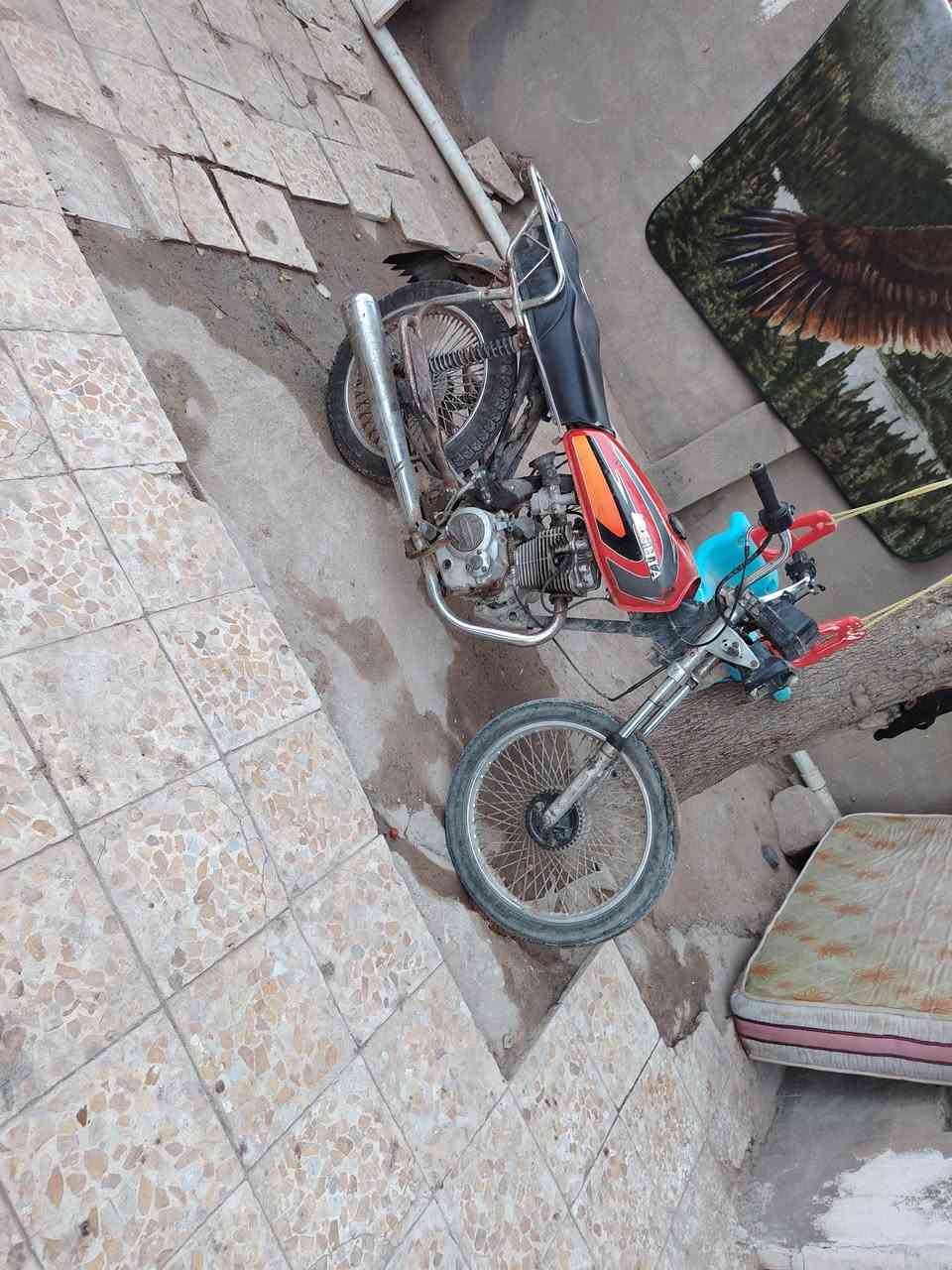 للبيع بس زنجيل يخرط***********
