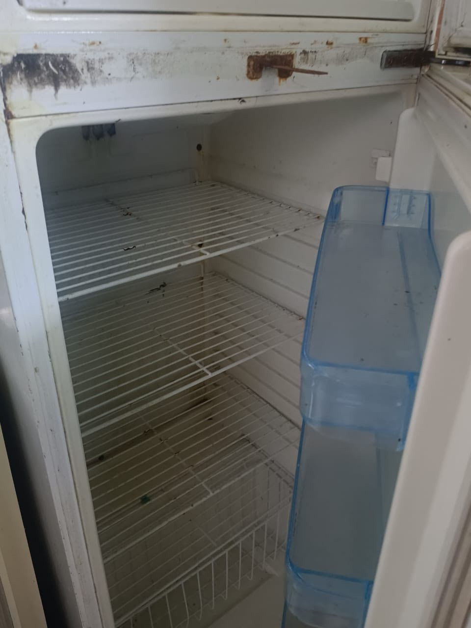 ثلاجه للبيع ١٠٠الف وبيه مجال شراي يراسلني خاص قادسيه الثانيه


**إذا كنت صاحب هذا الإعلان وتريد حذفه لأي سبب، رجاءا أرسل رسالة إلى الدعم الفني**