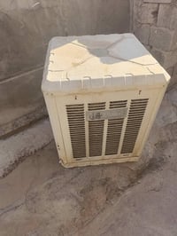مبرده • شغاله