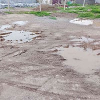 حي الفارس • ١٦٠م • شارع الامير