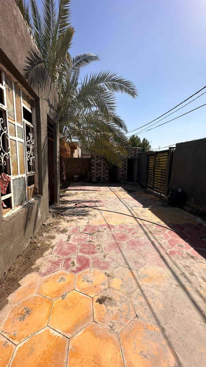 بيت مساحه 300 متر
بناء غرفتين وصاله ومطبخ وحمام داخلي 
حمامات خارجيه براني 12 متر عوزهه دواخل فقط
نزله ال بيده ابو صريفه حديقه بي 
اتصال ***********
