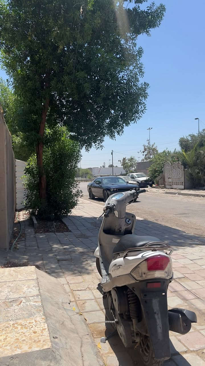 سلام عليكم ، ماكس منغولي كفرات تجاري فقط ، حتى الكابريتر بلادي ، جيب فيتر وافحص  دهن امزويل الماني ب١٥ ابدل الها ، وبانزين كله محسن ، باتري جديد سلف شغال بس يخربط يعني ينراد تعديل عليه ، مخليها اجيب بيها صمون الله وكيلك ، السعر ٦٥٠ وبيها مجال مكاني البلديات شارع الحشد ، 
*********** واتساب او هاتف
