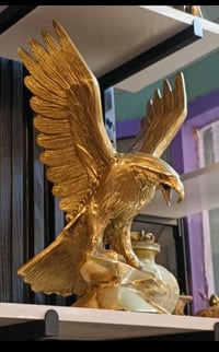 نسر نحاس • ٧٫٥ كيلو