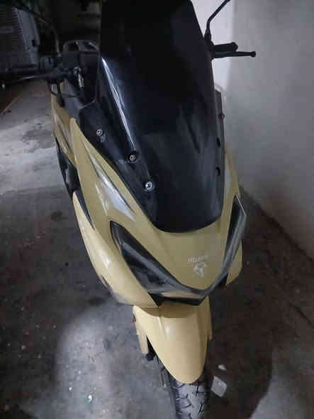 بغداد التاجي قريه ذيب الضاري  ***********
