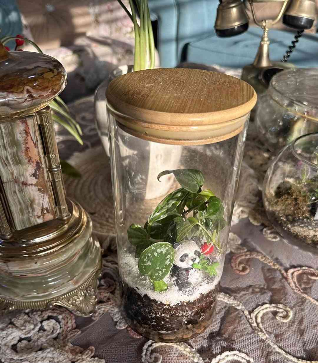 لمحبي القطع المميزة والنادرة
تيراريوم انيق تحفة من الطبيعة لاتحتاج اي عناية فقط اضاءة جيدة 
🚚 متوفر توصيل فقط 
#Jouriyyah_plants #هداياالعيد #نباتات #هدايا #plantlover #استشارات #ديكور # موصل


**إذا كنت صاحب هذا الإعلان وتريد حذفه لأي سبب، رجاءا أرسل رسالة إلى الدعم الفني**