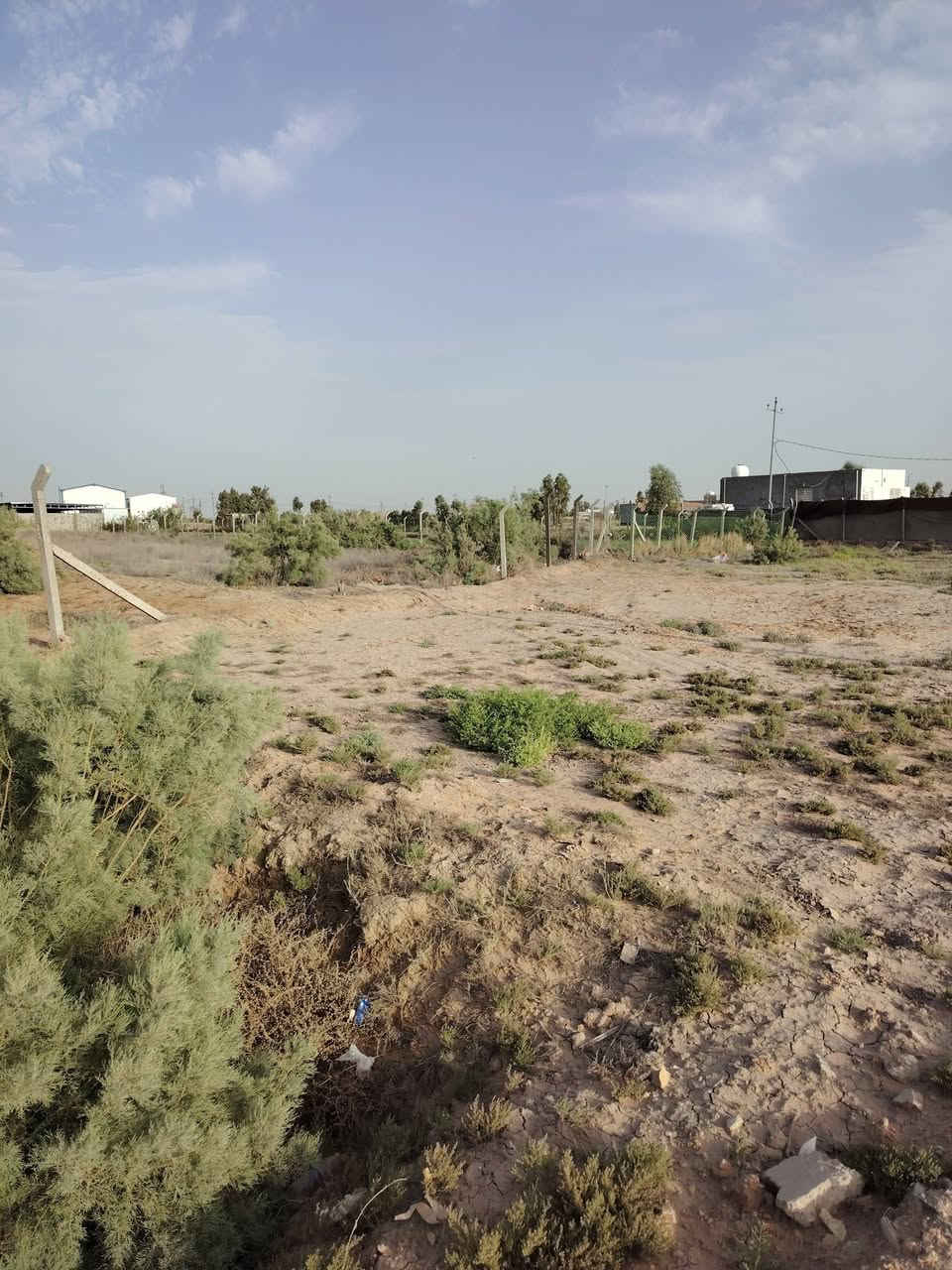 للبيع أرض زراعية مساحة ٥٥٠ متر في طريق دغارة ديوانية مقابل مجمع الروان السعر ٢٥مليون..بي مجال. او مراوس بقطعة او بيت بطريق السنية.. واتساب ***********..
