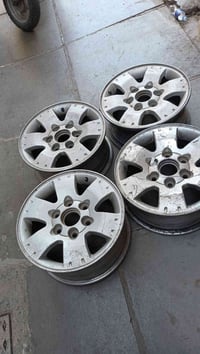 تخم ويل باجيرو حجم 16 السعر 250 وبيهن مجال 07715293320