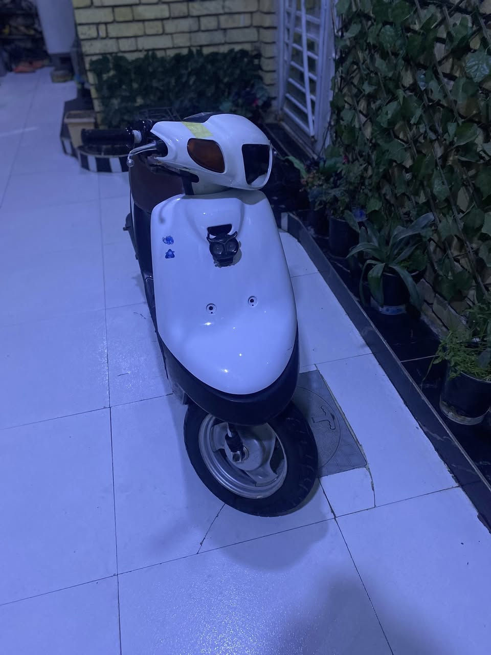 السلام عليكم دراجه بتره للبيع الدراجه كامله من كهربائيات عوزه بس باتري وكلوب امامي السعر 250وبيه مجال مكاني ناصريه مركز


**إذا كنت صاحب هذا الإعلان وتريد حذفه لأي سبب، رجاءا أرسل رسالة إلى الدعم الفني**