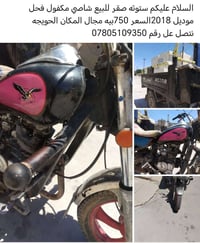 ستوته • صقر • خابر