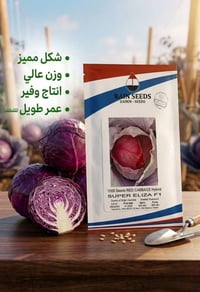 📣 متوفر الان 📣   🟣 الصنف المميز لهانه -  Super Eliza F1 🟣  🏢شركة الريف...