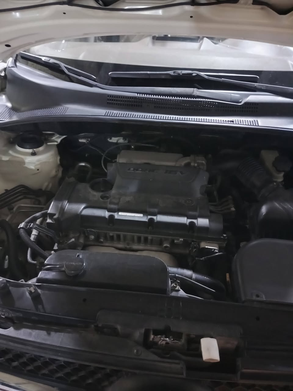 سلام عليكم للبيع
سبورتج 2009 خليجي  

كير محرك تبريد نضيفات كل نقص مابيه 
سياره فول فتحه 
يوبي اس

حدادي 5 تخم تاير نضيفات

رقم ربيل  جديد  سنويه ل31

السياره بدون صبغ فقط باب مبدله بلادي
مسويله ادامامه كامله سياره بلاديه

مكاني نجف كوفه 

السعر 125ورقه بيه مجال بسيط
***********
***********
