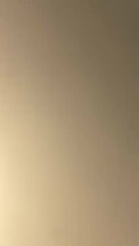 دايون عظم • ٢٠٢٣ • كل جديد