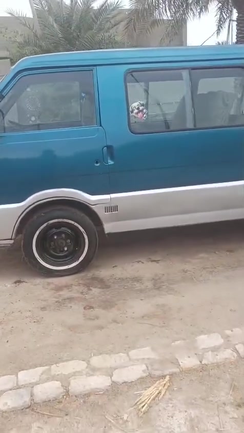ياالله السلام عليكم كيه بسته للبيع جاهزه مجهزه رقم نجف الماني راعيه يريد مداور تريد وكاله تريد مداور مسجله هيئه مصغره غرامات ماعايزه برغي بوجك للشارع تخم تاير باتري جديد كير مكينه اكسن كله جديده السياره مثل ماموضحه بصوره عنوان السياره بنجف وسعره 30 وبيه مجال بسيط ***********
