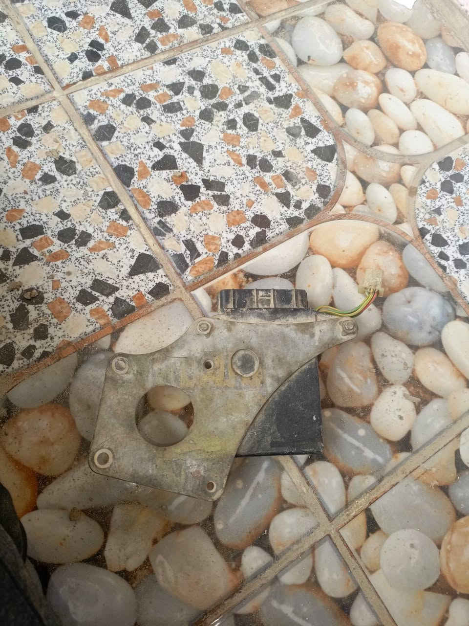 عقل فورزة صفر 6 شرط الشغل قيم واخذ مكاني ديوانية مركز


**إذا كنت صاحب هذا الإعلان وتريد حذفه لأي سبب، رجاءا أرسل رسالة إلى الدعم الفني**