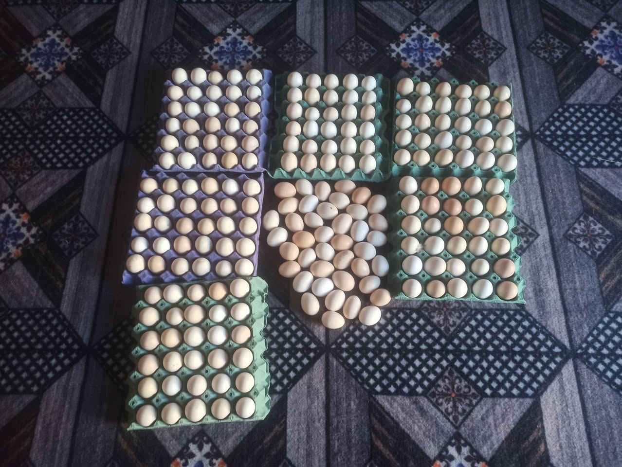 متاح 4 طبقات بيض دجاج عرب جاهز لتفقيس وفقاسه سعته 260بيضه /يريد سعر يرسل خاص  وبخدمتكم المكان سدة الهنديه مهناويه قرب مرقد بنات الحسن الهاشميات


**إذا كنت صاحب هذا الإعلان وتريد حذفه لأي سبب، رجاءا أرسل رسالة إلى الدعم الفني**