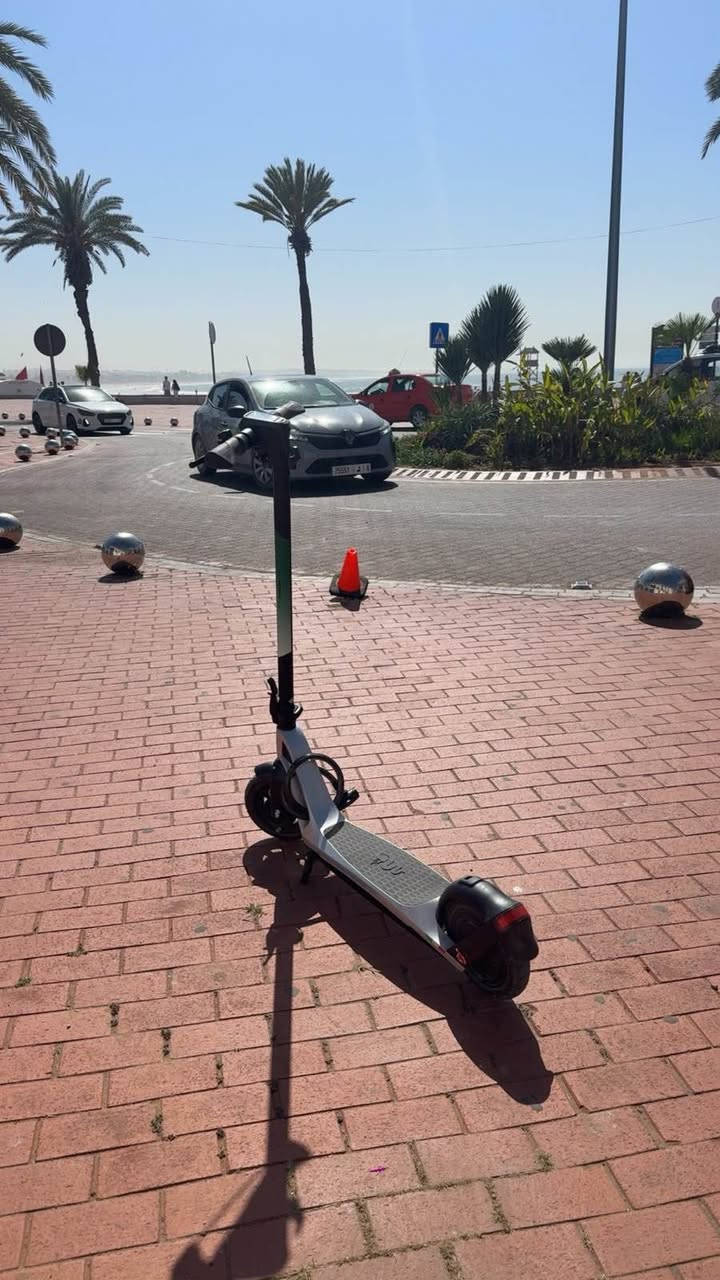 trotinette alpha romeo a ventre 
autonomi 25 ---->35 km 
vitesse 25 km ( conteurs ouvert)
moteur puissant brushless أكادير, أكادير إداوتانان


**إذا كنت صاحب هذا الإعلان وتريد حذفه لأي سبب، رجاءا أرسل رسالة إلى الدعم الفني**