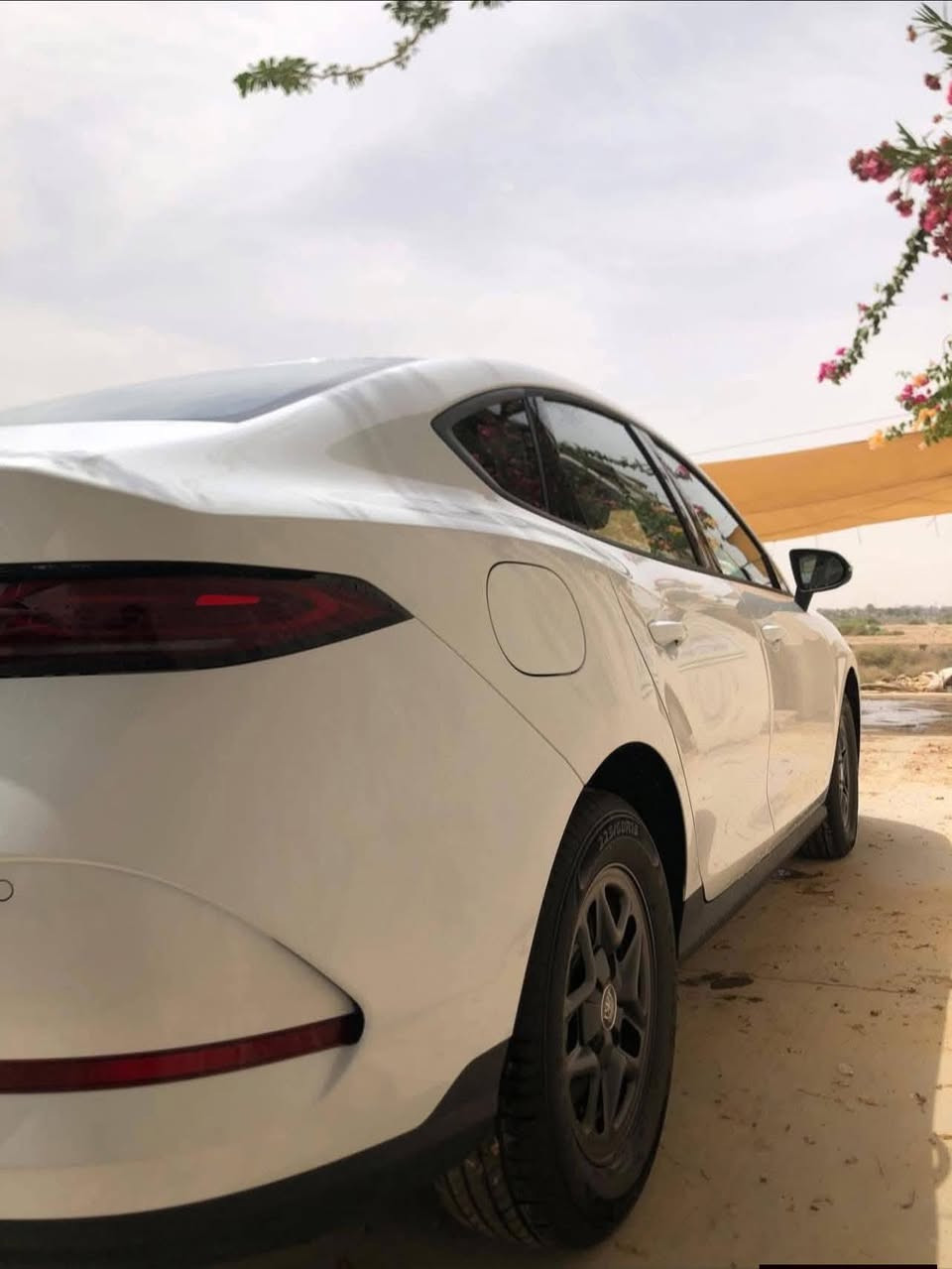 ✅ BYD Qin PLUS  2025
ماشيه  ألف على كهرباء🔋 و ماشيه  300 كم على محرك

عداد المسافة الكلي  ألفين كيلو متر كسر زيرو ☑️ 

داخل جلد ابيض ☑️ 

  💥 مرقم بغداد رقم مميز تسلسل مرتب💥  

كفاله عامه ☑️ 

العنوان بغداد / الشعب خلف نادي النفط 

الاتصال ☎️ 

*********** 📞
