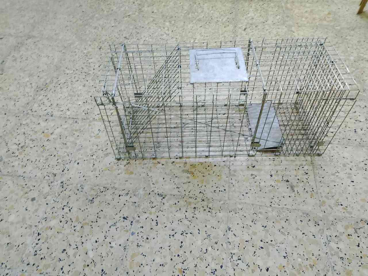 مصيده مال بزونه للبيع السعر 30 وبي مجال قليل ***********
