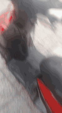 دراجه • نثيه • شعله صدرين