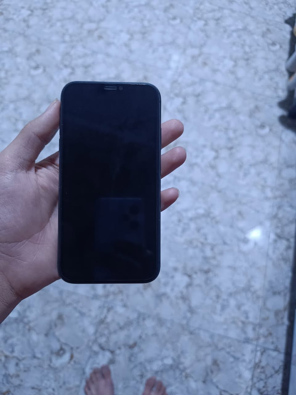 آيفون ١١ ذاكرة ١٢٨ دبل سيمكرت خطين  ياخذ. جهاز بي فطر ضهر خفيف حيل مبدل فقط بطارية ونسبة بطارية٩٥ سعرة١٨٠ بي مجال بسيط حيل يرهم مراوس مكان بغداد ابو غريب


**إذا كنت صاحب هذا الإعلان وتريد حذفه لأي سبب، رجاءا أرسل رسالة إلى الدعم الفني**