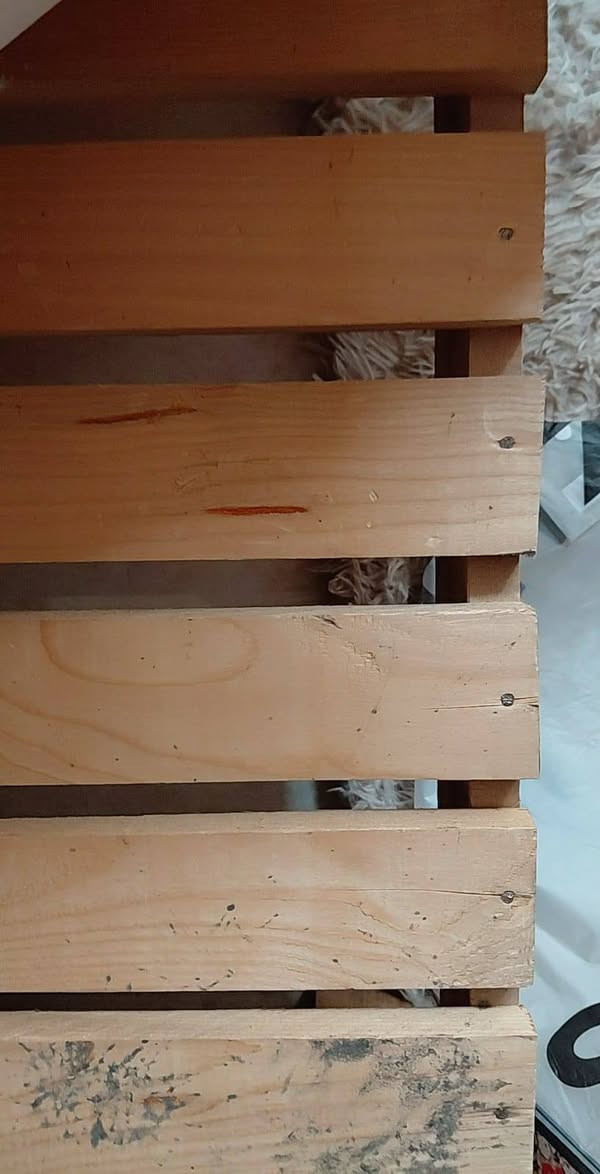 السلام عليكم 
جرباية نفرين كبيرة موديل تركي (الشغل عراقي)
وكنتورين شغل عراقي كل كنتور بابين 
السعر للكنتورين والجرباية 600 وبيها مجال زين للشراي 
للتواصل على الرقم 
***********
