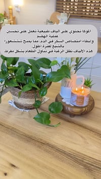 الاستفسار توصل تراكت اورقم الهاتف 07838635847