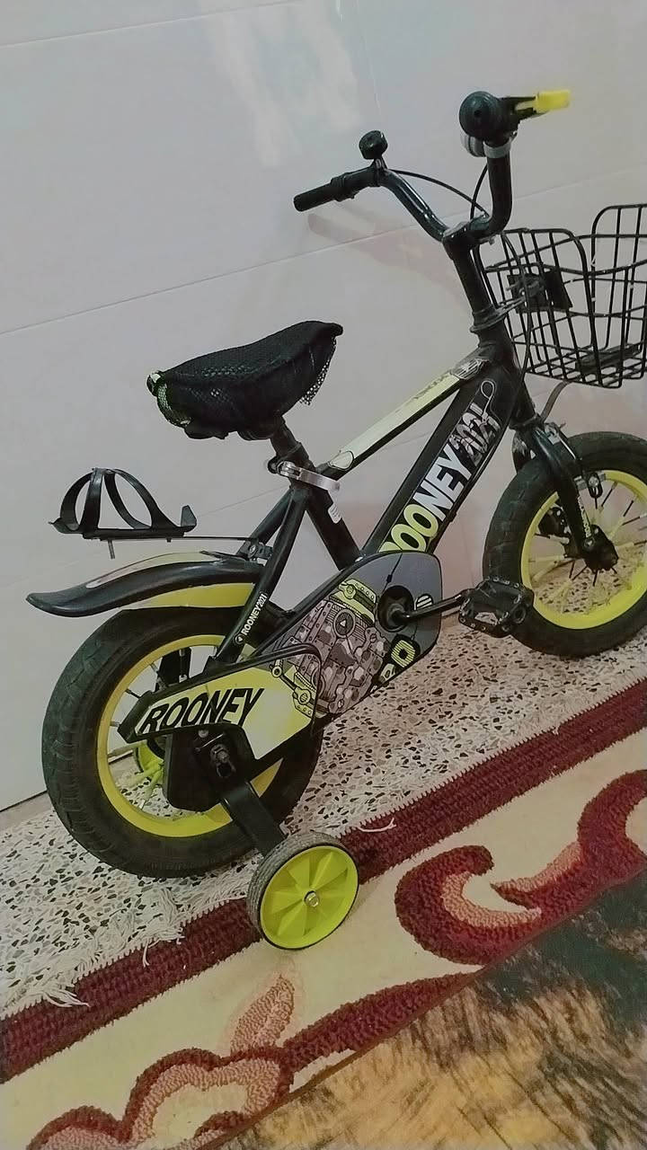 السلام عليكم بايسكلات للبيع حيل انضاف اخو الجديد
سعر الواحد  60 الف وبيها مجال  الوردي مال باله
 المكان تكريت  قادسيه نهاية  شارع البلاج
 ***********
