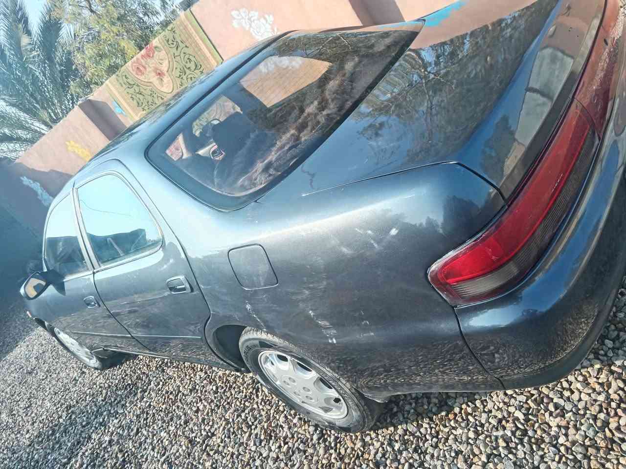 السلام عليكم. كرسته ٩٣رقم ديالى سنويه لل٢٩صبغ عام جماليه موبايل ***********
