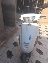 فراشه • بيع مستعجل • بابل ناحيه النيل