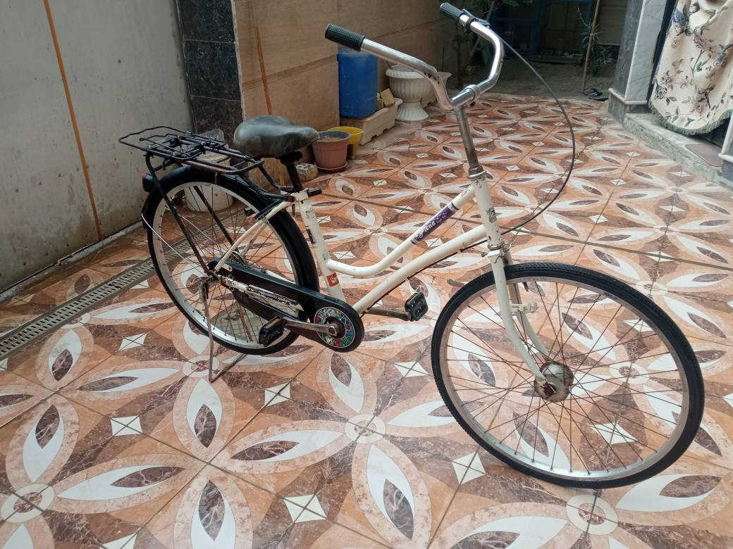 السلام عليكم باسكلات للبيع في بابل قرب مجسر الثوره سعر الواحد 75وبهيم مجال الشراي يتصل على هذا الرقم *********** حلة, بابل
