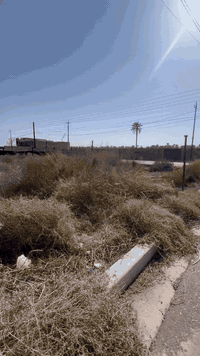 قطعة ارض للبيع 🏜
طابو زراعي صرف 💯
ســــــــنــــــــــد ٢٥ 📝
مقابل برج الجزيرة السياحية/شارع الفنان ماجد حميد 📍
المساحة ١٠٠ متر 🔛
شاملة خدمات ✅
تــــبــــلـــيـــط 🛣
ارصــــــفــــــة 🚧
اعـمـدة كهربـاء ⚡
تصريف صحي 🚽
تصريـف امطار ☔
انترنت ضوئي 🌐
السعر 43
قـابـل للتفاوض 🔐 
للاستفسار الاتصال على 📞
*********** وتساب  ملاحظة قريبة جدآ جدآ جدآ  من الشارع العام
