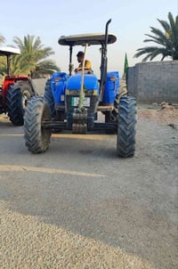 نيوهلند ٨٠ • كفالة عامة • شرط الفحص