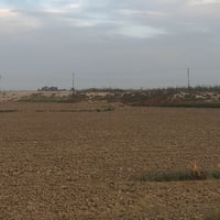 اعلان ارض ٦٠ دونم بسندات اثنين كل ٣٠ بسند طابو ٢٥ جسر ديالى الجديد الك...