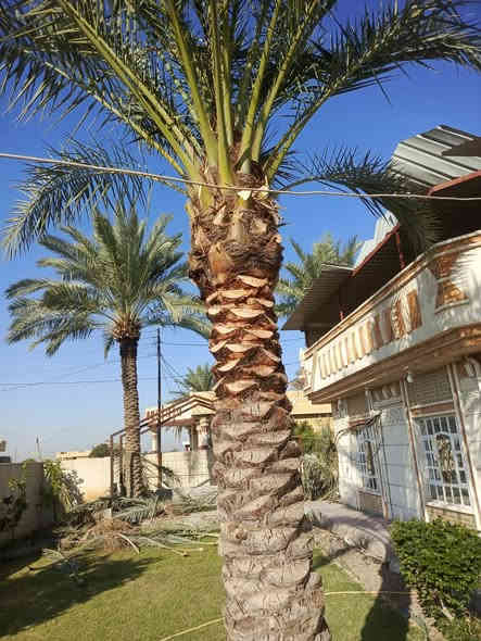 لعنده تكريب او تنضيف اني بل خدمه *********** بي واتساب
